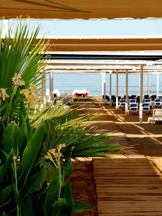 Dream Family Club Pool